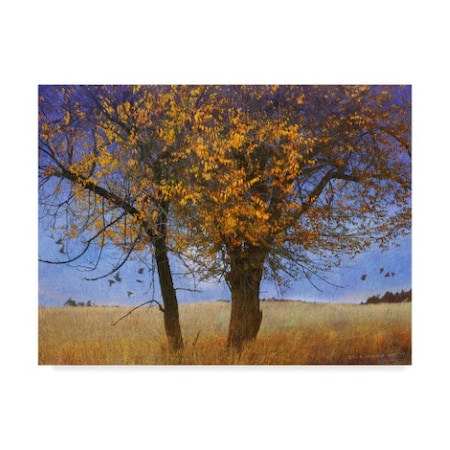 Chris Vest 'Yellow Elm' Canvas Art,14x19